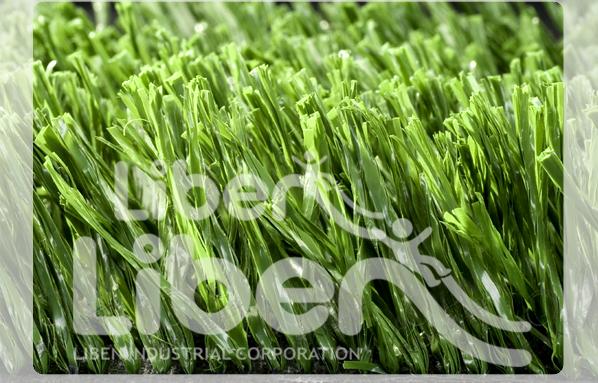  Sports Grass