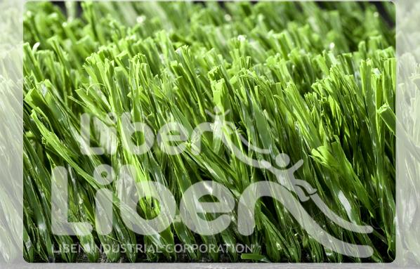  Sports Grass