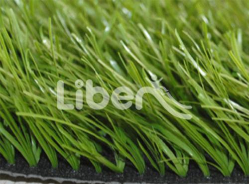 Artificial Grass