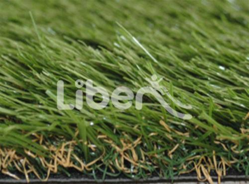 Sports Grass 