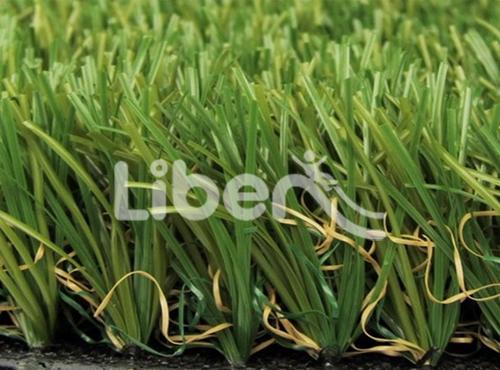 Sports Grass