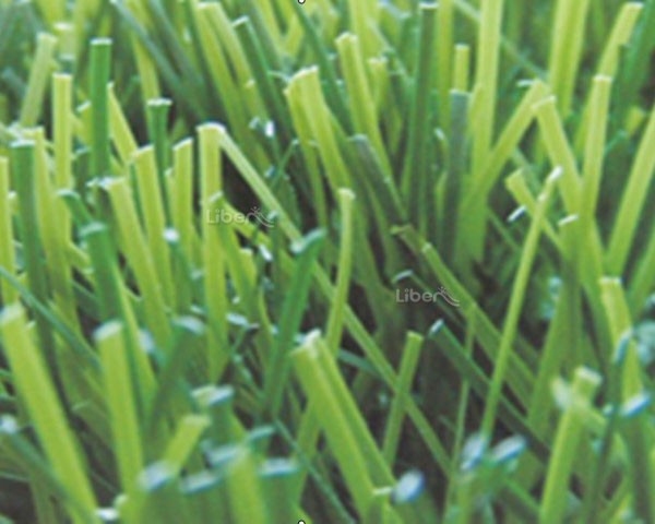 Liben Artificial Grass