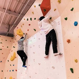 Boulder Climbing Wall