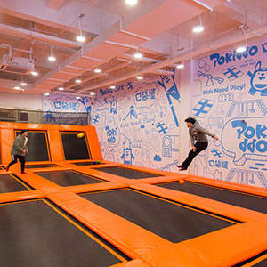 Dodgeball Zone