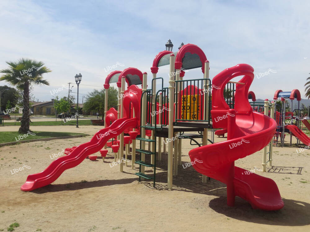 Outdoor Playground Gym-2