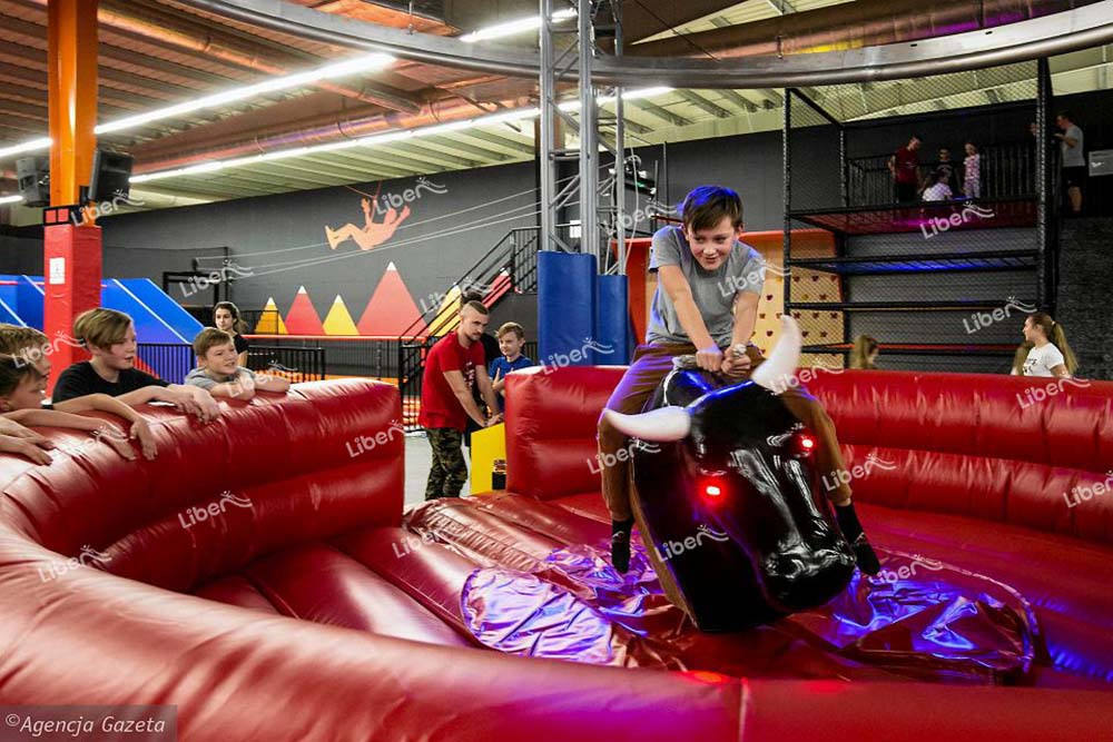 Inflatable Bull Fight