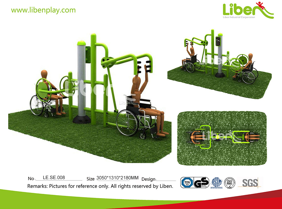 LE.SE.008 GS Approved Outdoor Disabled Fitness Equipment.jpg