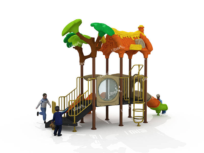 Outdoor Combined Slide