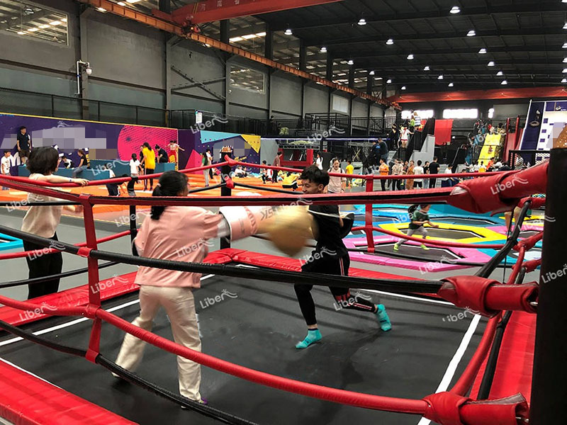 Trampoline Boxing