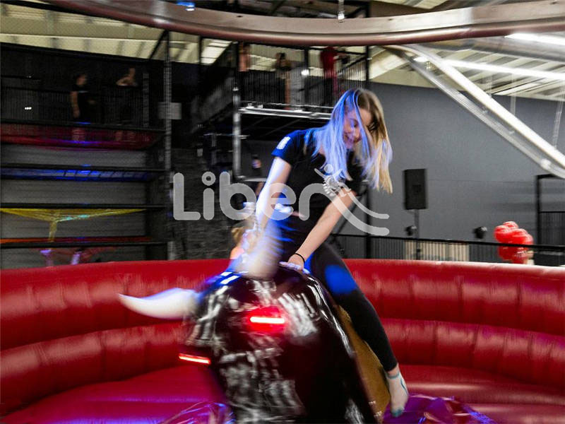 Inflatable Bullfight