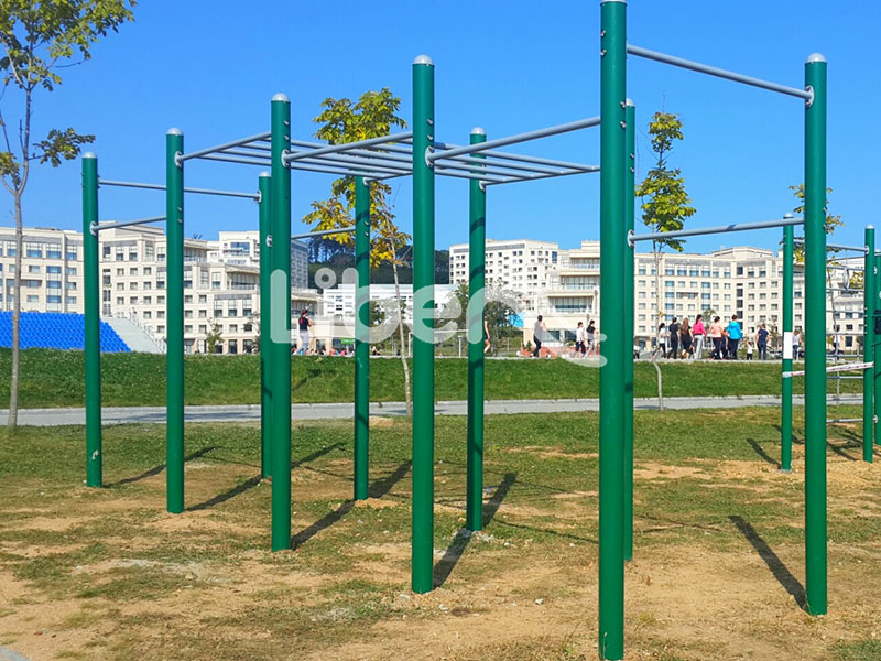 Russia Street Workout