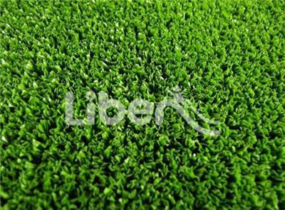 Artificial Turf