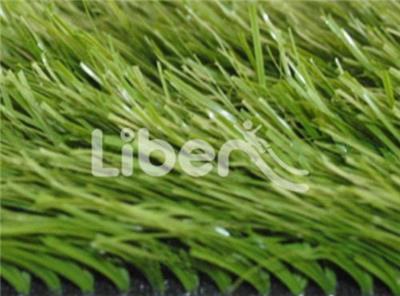 Sports Grass 