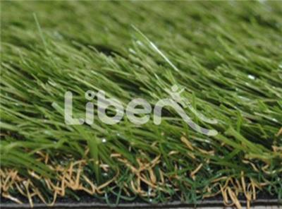 Sports Grass 