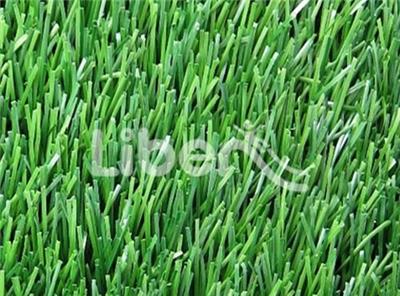 Sports Grass