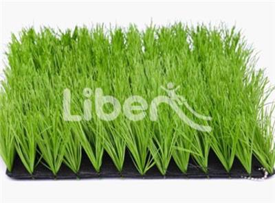 Artificial Turf