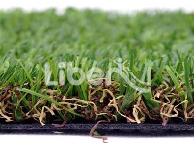 Sports Grass 