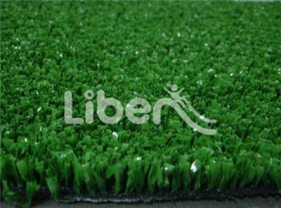 Artificial Turf