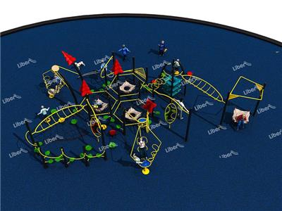 Fitness Cluster Series  Outdoor Playground Gym