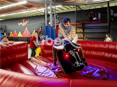 High quality Mechanical Bullfight Bull Rodeo With Inflatable Mattress